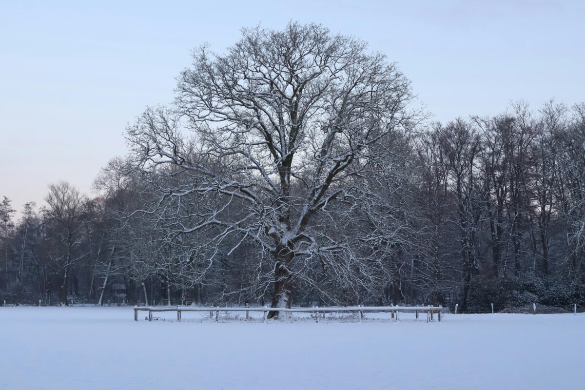 Styczeń nie musi być nowym początkiem
